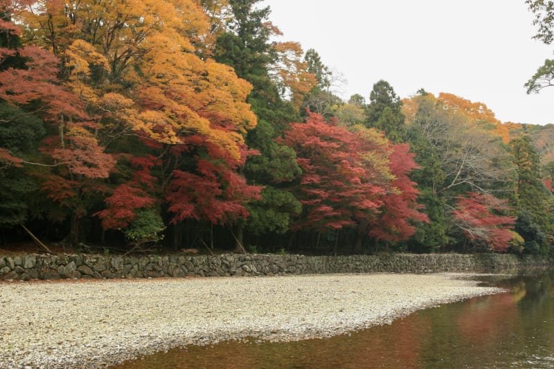 ⛩️ 토요우케 다이진구(이세 신궁 외궁) 이미지 11